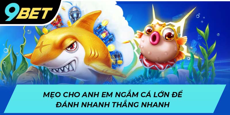 Mẹo cho anh em ngắm cá lớn để đánh nhanh thắng nhanh